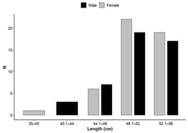 Length distribution (cm) among female (grey, N = 48) and male (black, N = 46) Dasyprocta individuals captured in Emílio Goeldi Zoobotanical Park.
