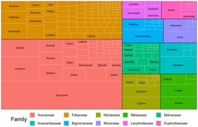 Treemap of individual abundance by genus within the ten most abundant families in the arboretum of the Rio de Janeiro Botanical Garden. Rectangle size is proportional to the number of individuals recorded in each family and genus.