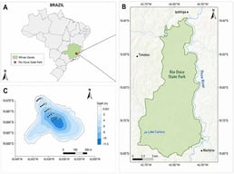 Geographic context and sampling design at Lake Carioca, Rio Doce State Park, Brazil. (A) Location of Minas Gerais State within Brazil, with the location of Rio Doce State Park indicated in eastern Minas Gerais; (B) Rio Doce State Park and surrounding municipalities, showing Lake Carioca and the Doce River along the eastern boundary of the park; (C) bathymetry of Lake Carioca and the five fixed sampling sites along the margin-to-center transect (P1–P5). Geographic coordinates are presented in decimal degrees using the WGS84 datum.