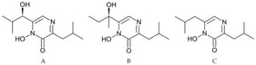 The chemical structures of neohydroxyaspergillic acid (A), hydroxyaspergillic acid (B), and neoaspergillic acid (C).