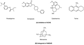 Representative drugs for Alzheimer’s disease. (A) Acetylcholinesterase (AChE) inhibitors, (B) N-methyl-D-aspartate receptor (NMDAR) antagonist.