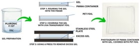 Scheme of Pluronic-F127-TTC sample preparation in cuboidal PMMA containers.