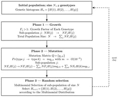 Schematic representation of the Markov chain dynamics for histograms Hn→Hn+1 during the three phases in the daily cycle.