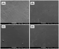 Micrographs of the surface morphology of alginate-honey dressings A (A), AM1 (B), AM2.5 (C), and AM5 (D) by SEM at 200× magnification.