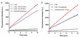 Enhancement of inhibition by crosslinking peptide with enzyme. (a) PEP-1 (“RVFKRKRWLHVSRYYFGSC”) decreased the inhibition of β-galactosidase (β-Gal) when it was diluted from 20 μM (green) to 200 nM (blue); (b) Formaldehyde-crosslinked PEP-1–β-Gal complex (green) with strongly inhibited enzyme activity, even at 200 nM peptide concentration.