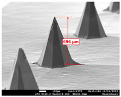 SEM image of microneedle array. The measured needle height is approximately 696 µm (0.7 mm).