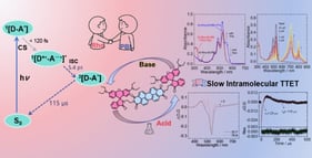 (a) UV–vis absorption spectra of the compounds in toluene (TOL), and the UV–vis absorption spectra of DI-Rho-HEX-PBI (b) with increasing amount of trifluoroacetic acid (TFA) added; (c) TFA (65 μL) was added first, followed by addition of organic base triethylamine (TEA, 300 μL); (d) kinetics of the lactam ⟶ opened amide transformation of Rho moiety for the dyad and the triads, monitored at 557 nm upon addition of TFA in MeOH. c = 1.0 × 10 −5 M. 25 °C.