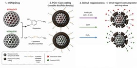 SEM images of PDA_Cyst 3:1 nanoparticles (A); PDA_Cyst 1:3 nanoparticles (B); MSN@DOX (C); MSN@SO (D); MSN@DOX@PDA_Cyst 3:1 (E); MSN@DOX@PDA_Cyst 1:3 (F); MSN@SO@PDA_Cyst 3:1 (G) and MSN@SO@PDA_Cyst 1:3 (H).