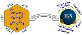 The fluorescence sensing mechanisms for detecting H2S based on the 1,8-naphthalimide scaffold.