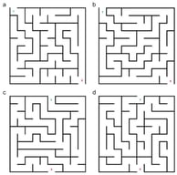 Examples of mazes used in the study: (a) the corner maze with the path; (b) the corner maze without the path; (c) the midline maze with the path; and (d) the midline maze without the path between the starting point X and the exit point Y.