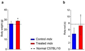 Effects of myostatin blockade in vivo. (a) Significantly increased body weight (treated mdx: 28.8 ± 2.1 g, n = 8; control mdx: 25.9 ± 2.4 g, n = 8; p = 0.025); Normal C57BL/10: (26.1 ± 2.8, n = 7) and (b) rota rod endurance time (treated mdx: 7.3 ± 4.8 s, n = 8; control mdx: 4.8 ± 1.8 s, n = 8; p = 0.051); normal C57BL/10: (7.8 ± 1.4 s, n = 8) was noted in mdx mice that had been treated with antibody-mediated myostatin blockade compared to control mdx mice. Normal C57BL/10 values are provided for comparison.