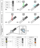 The figure illustrates the lamella film stack and the SE/BSE imaging process. The figure also shows the lamella composition for each phase. (a) shows protective platinum cap, carbon film, and silicon substrate. (b) shows the primary beam incident on lamella. (c) shows the SE captured for image formation. (d–f) shows the imaging process with high-energy SEM. (d) A high-energy SEM beam is incident on the sample with a large penetration depth. (e) BSE are generated from deep inside the sample. (f) BSE are converted into SE at the surface of the lamella and used to generate the image. (g) shows the relationship between the observed thickness t’ and the real thickness t, t’ = t × cos(θ). Theta θ is 52° at the neutral mill position. (h) Lamella 1 was composed of a platinum cap, tungsten layer, iridium layer, silicon substrate, and two carbon layers surrounding the tungsten layer. (i) Lamella 2–3 were composed of a platinum cap, carbon layer, iridium layer, and silicon substrate. (j) Lamella 4–6 were composed of a platinum cap, carbon layer, thin-film metal, and substrate (silicon or SiO2).