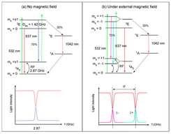 Energy level diagram of NV-center quantum magnetometry using the energy state symbol conventions given by Manson et al. [4]: (a) without external magnetic field; (b) under external magnetic field. The AuNPs can be selected to enhance the 532 nm optical excitation from the 
  
    
      A
      2
      
      
      
      3
    
  
 ground state (green arrows) or the 637 nm spontaneous emission (red and blue arrows) from the 
  
    
      E
      
      
      
      
      3
    
  
 excited state.