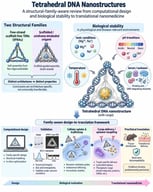 Evidence-based physicochemical and biological stress trajectory relevant primarily to few-strand tetrahedral DNA nanostructures (TDNs/tFNAs). The schematic summarizes key conditions encountered during biological transit, including ionized magnesium, pH transitions, physiological temperature, serum and nuclease exposure, and cellular entry. Numerical values are shown only when supported by defined physiological or experimentally reported ranges, whereas structural and biological outcomes remain dependent on sequence, size, formulation, ionic environment, and experimental conditions. The scheme is not intended to imply direct head-to-head superiority over other DNA nanostructures or to extrapolate these behaviors to scaffolded/wireframe tetrahedral origami without direct evidence. Solid arrows indicate the sequential biological trajectory, dotted connectors link each stress condition to the central TDN, and the color-coded panels and schematic shapes distinguish the principal physicochemical and biological environments encountered during transit. The ionized-magnesium context is supported by Refs. [20,21,38]; pH conditions and pH-dependent TDN responses by Refs. [42,43,44]; thermal behavior by Refs. [21,46,47]; serum and nuclease exposure by Refs. [16,17,23]; and cellular entry by Refs. [11,12]. TDN, tetrahedral DNA nanostructure; tFNA, tetrahedral framework nucleic acid; Mg2+, magnesium ion. Original graphical representation created by the authors with graphical assistance from ChatGPT (GPT-5.6 Sol, OpenAI, 2026), with OpenAI image-generation tools.