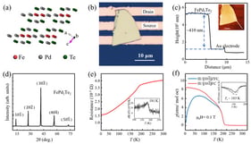Characterizations of the FePd2Te2 single crystal and the device configuration. (a) Crystallographic structure of FePd2Te2. (b) Optical image of the FePd2Te2 nanoflake on the bottom electrode. (c) The step-height profiles of the FePd2Te2 flake. The inset is the atomic force microscope image of the FePd2Te2 device (the scale bar is 5 μm). (d) X-ray diffraction pattern of the FePd2Te2 crystal. (e) Temperature-dependent resistivity of the FePd2Te2 single crystal. The inset shows the derivative of the resistivity curve. (f) Temperature-dependent zero-field-cooled (ZFC) and field-cooled (FC) magnetic susceptibility of the FePd2Te2 single crystal at μ0H = 0.1 T. The inset shows the derivative of the magnetic susceptibility.