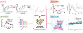 Baicalein and acarbose co-inhibit the activity of mouse α-glucosidase (A), MGAM-C (B) and MGAM-N (C). CI values above data points were calculated by CompuSyn 1.0 software. CI < 0.9, CI = 0.9–1.1, and CI > 1.1 indicate synergism, additive effect, and antagonism, respectively. (D) MGAM-C inhibitory activity following combined treatment with baicalein and acarbose under distinct pre-incubation orders. Groups are designated as Con (baicalein and acarbose were pre-incubated together with the enzyme for 30 min prior to substrate addition), B (baicalein pre-incubated for 30 min prior to acarbose addition), and A (acarbose pre-incubated for 30 min prior to baicalein addition). Data are shown as mean ± SEM. **** p < 0.0001, *** p < 0.001.
