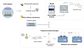 Effect of two distinct UV-B treatments (UV-B 1 and UV-B 4) on the total chlorophyll and carotenoid contents of in vitro cultures and micropropagated plants of Lavandula viridis and Thymus lotocephalus. For each species, results were analyzed using one-way analysis of variance (ANOVA). Graph bars followed by different letters (a–d) are significantly different at p < 0.05 (Duncan’s New Multiple Range Test).