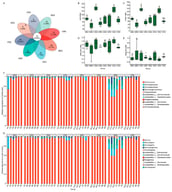 AMF OTU distribution, α-diversity, and taxonomic composition at the family and genus levels across sample groups. (A) Venn diagram of AMF OTUs among sample groups; (B–E) Ace index (B), Chao index (C), Shannon index (D), and Simpson index (E) across sample groups. The horizontal lines in the boxplots represent medians, and lowercase letters indicate significant differences among groups (p < 0.05); (F) relative abundance of AMF at the family level; (G) relative abundance of AMF at the genus level. Unclassified sequences were defined as those that failed to match any sequence in the database at a 70% confidence leve. Sample codes: BSG, rhizosphere soil of S. viridis from Bahuta Sumu; BRG, roots of S. viridis from Bahuta Sumu; CSG, rhizosphere soil of S. viridis from Chajintai Ranch; CRG, roots of S. viridis from Chajintai Ranch; BSS, rhizosphere soil of C. pauciflorus from Bahuta Sumu; BRS, roots of C. pauciflorus from Bahuta Sumu; CSS, rhizosphere soil of C. pauciflorus from Chajintai Ranch; CRS, roots of C. pauciflorus from Chajintai Ranch; n = 6 for each group.