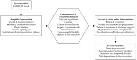 Conceptual framework linking crisis-induced failures, ecosystem domains and provincial interventions. Source: Compiled by authors.