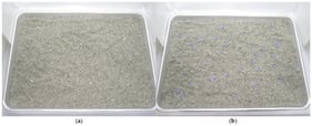 Example photographs of sand with MPs shown in the questionnaire. Tray size: 34 cm (width) × 24 cm (depth). (a) White PP (option 4; 1000 mg-MPs/m2-sand). (b) Blue PP (option 8; 20,000 mg-MPs/m2-sand). Option numbers correspond to Table 1 and the Appendix A.