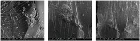 SEM micrographs of the UPR+C15 composite showing the morphology and distribution of casein particles within the unsaturated polyester matrix at different magnifications (5000×, 1000×, 500×).