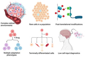 A summary of applications of single-cell proteomics that will be discussed in this Perspective article.