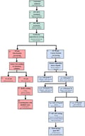 Flowchart of the quartz extraction protocol applied in this study, based on the standard procedure used for OSL dating, showing the sequence of preparation steps, the mineral impurities removed at each stage, and the points at which SEM-EDS measurements were performed. Numbers indicate the order in which each preparation step was carried out and sampled for analysis in this study.