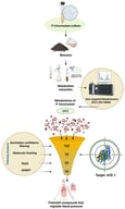 Integrated workflow of non-targeted metabolomic profiling and in silico prioritization of ACE inhibitory candidates from Phaeodactylum tricornutum. Arrows indicate the sequential progression of the experimental and computational workflow, from biomass processing and metabolite extraction to UPLC-ESI-HRMS analysis, annotation-confidence filtering, molecular docking, PASS prediction, and ADMET evaluation. The numbers shown in the funnel represent the number of compounds retained after each filtering step.