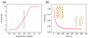 (a) LSV indicating the onset of MnO2 deposition around 0.6 V in a manganese acetate and Na2SO4 aqueous solution. (b) Chronoamperometric current decay at 0.6 V and schematic illustration of the MnO2 deposition mechanism through Mn2+ oxidation.