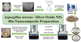 Mycelia-based myco-nanocomposite of A. terreus (PX920301) and silver oxide nanoparticles preparation process.