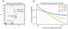 Model and transition family. (a) A periodic square lattice with a source/reset site, a five-site digital disk of radius
ρ
=
1
, one-coordinate updates, and reset-to-source events. The displayed walker position and arrows are schematic. (b) One-axis displacement probabilities for representative fractional indices on the production cycle
L
=
31
. The index-two endpoint places all mass at the two nearest neighbors, whereas smaller indices allocate increasing mass to longer displacements.