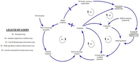 Causal loop diagram [19]. “II” denotes a delay in the causal relationship.