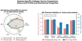 Species-Specific Collagen Source Comparison: Amino Acid Profile and Biochemical Properties. (A) Radar chart comparing the relative amino acid (AA) composition of collagen from four major commercial sources (bovine, porcine, marine, and poultry); values expressed as percentage of total AA residues. (B) Paired bar chart comparing denaturation temperature (°C) and Pro + Hyp content (%) across these sources together with jellyfish (Rhopilema) collagen; marine and jellyfish collagens display 15–20 °C lower denaturation temperatures than mammalian equivalents, facilitating lower-temperature industrial processing. Abbreviations: AA, amino acid; Pro, proline; Hyp, hydroxyproline; °C, degrees Celsius.
