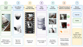 Surveillance video collection and dataset construction.