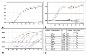 Analytical characteristics of the developed qPCR assay for the detection of Theileria annulata DNA. (A) qPCR amplification: curve 1, Theileria annulata DNA positive control; curves 2–3, positive blood samples; curve 4, negative control. (B) Specificity testing: curves 1–2, positive blood samples; curve 3, Theileria annulata positive control; curves 4–8, heterologous haemoparasite DNA; curve 9, negative control. (C) Serial dilutions from 10 ng to 10 ag. (D) Ct values at different DNA concentrations and copy numbers. Amplification curves are identified by numbers; x-axis, PCR cycle number; y-axis, fluorescence (FAM channel); the horizontal line indicates the threshold.