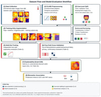 Data collection, CLAHE preprocessing, cow-level splitting prior to augmentation, training-only augmentation, held-out testing, five-fold animal-level cross-validation, explainability, and biomarker association comprise the dataset flow and model-evaluation procedure.