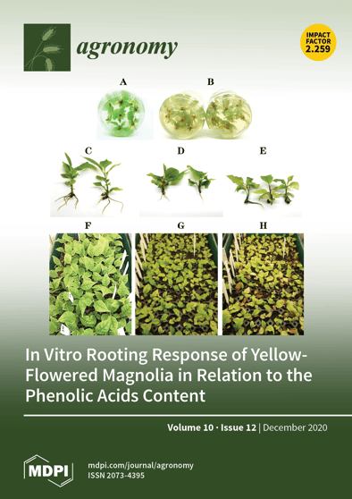Journal Issue Cover Image