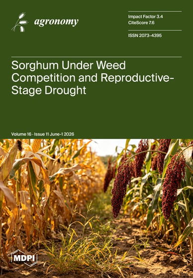Journal Issue Cover Image