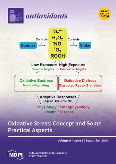 Journal Issue Cover Image