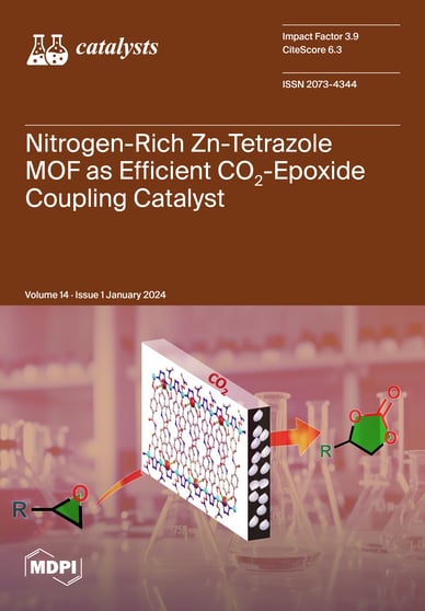Journal Issue Cover Image