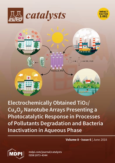 Journal Issue Cover Image
