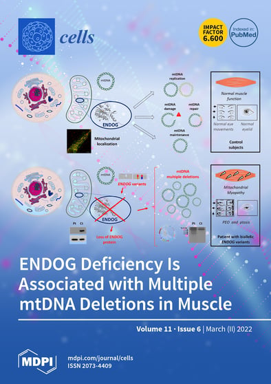 Journal Issue Cover Image