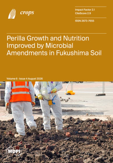 Journal Issue Cover Image