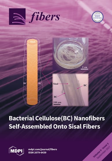Journal Issue Cover Image