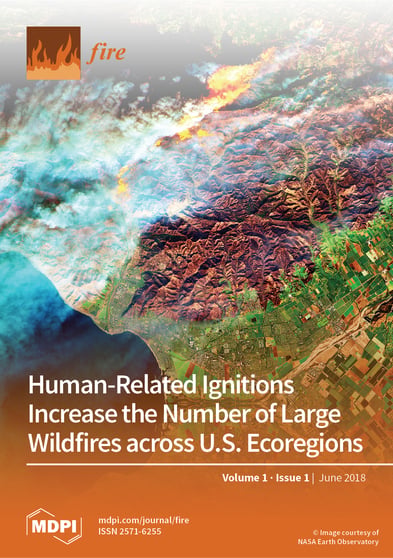 Journal Issue Cover Image