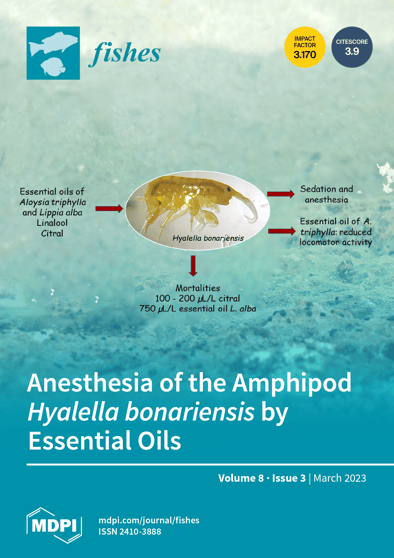Journal Issue Cover Image