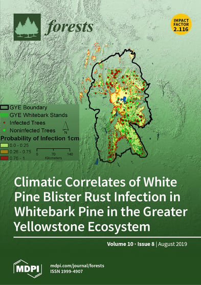Journal Issue Cover Image