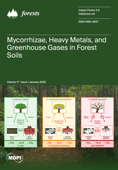 Journal Issue Cover Image