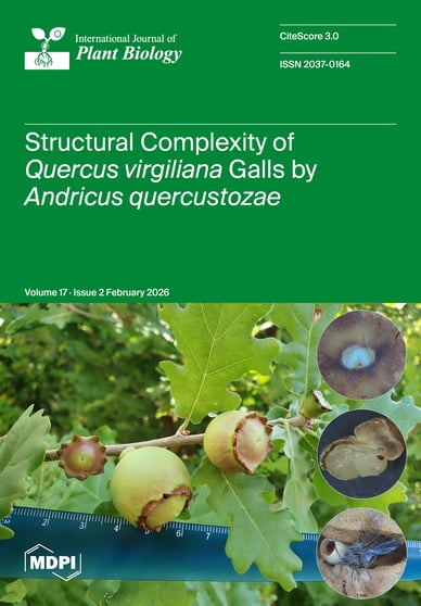 Journal Issue Cover Image