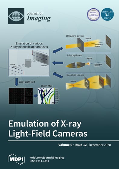 Journal Issue Cover Image